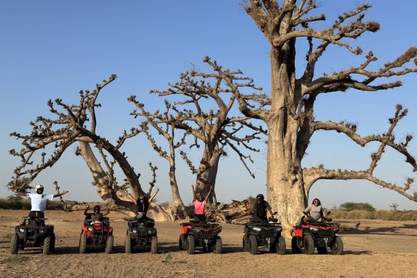 The faraway co in Senegal {{brizy_dc_image_alt imageSrc=