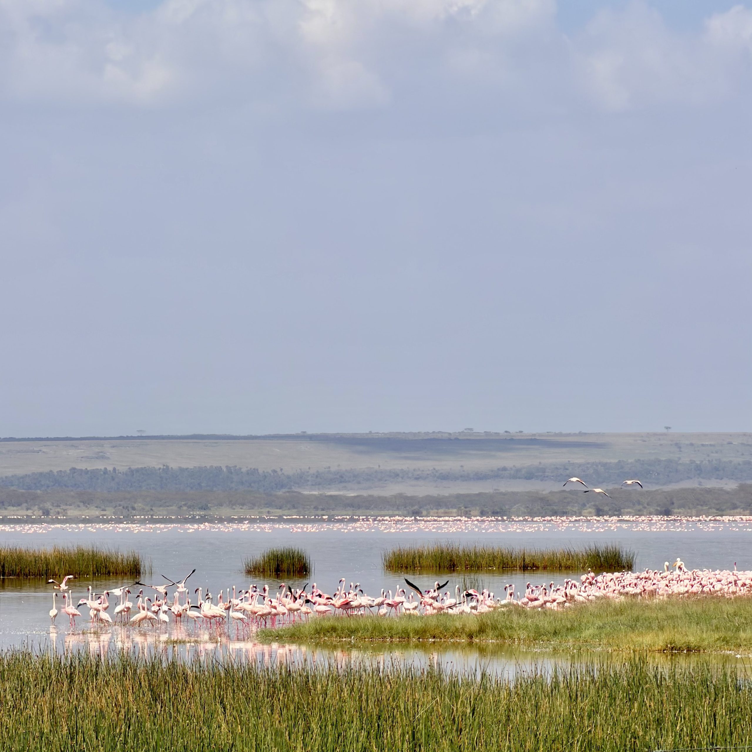 Slow Travel in Africa: What Remote Work Really Looks Like