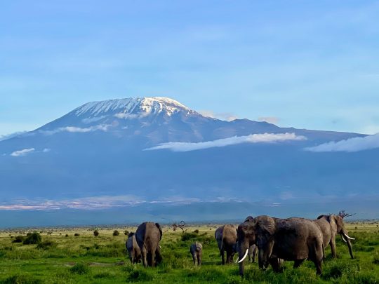 amboseli national park